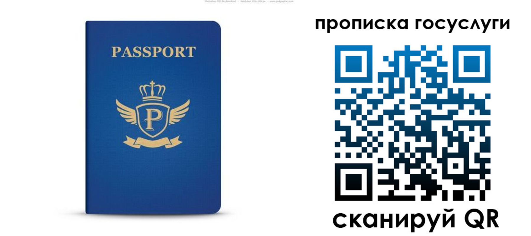 прописка для школы в Сургуте